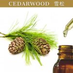 Cedarwood